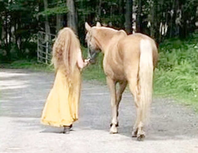 Morrisdale horse sanctuary owner welcomes positive future after lawsuit